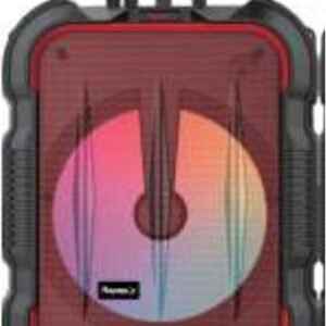 BT speaker with USB, wireless microphone, radio & AUX